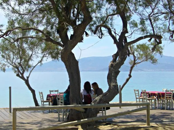ΜΑΡΑΓΚΑΣ Α.Ε. - MARAGAS CAMPING - Εικόνα 7