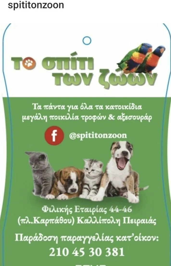 ΚΩΝΣΤΑΝΤΙΝΟΣ ΠΑΠΑΜΙΧΑΗΛ - ΤΟ ΣΠΙΤΙ ΤΩΝ ΖΩΩΝ - Εικόνα 2