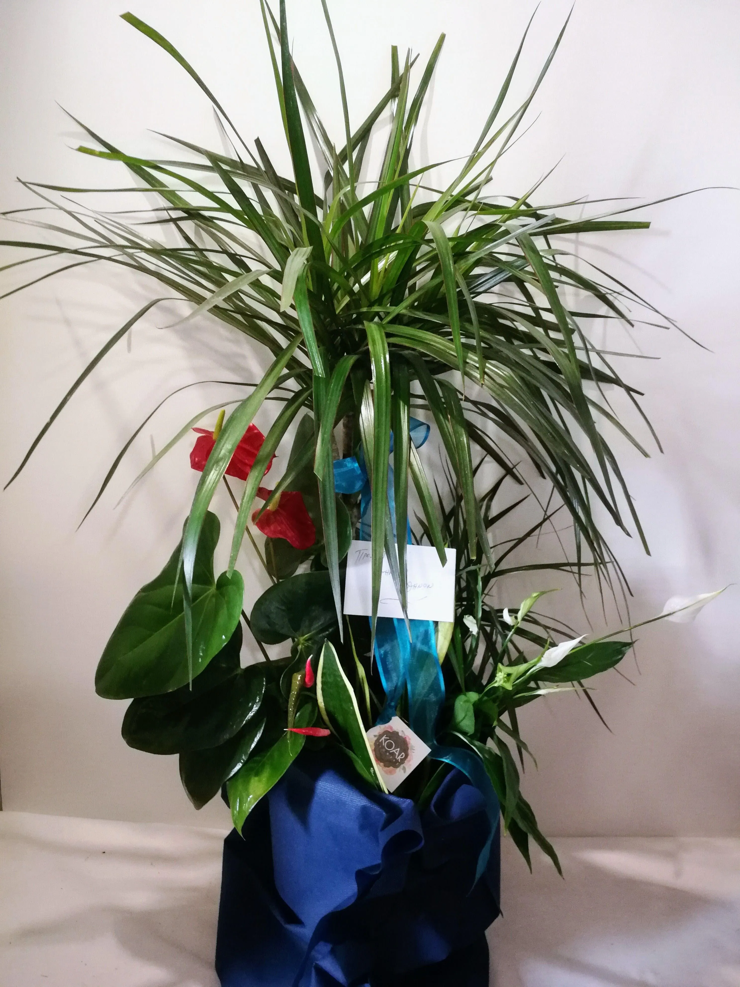 KOAR FLOWERS - Εικόνα 44