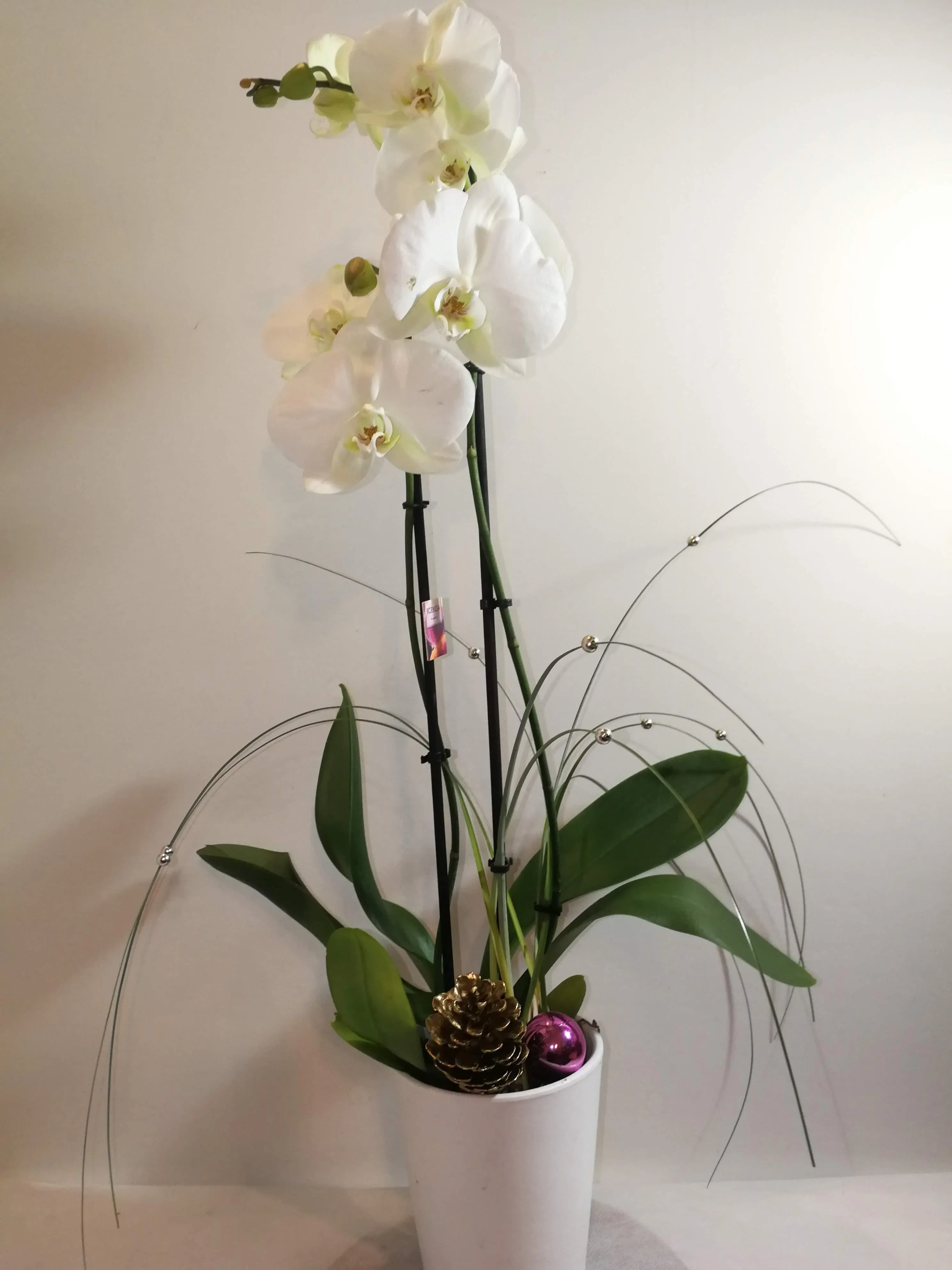 KOAR FLOWERS - Εικόνα 79