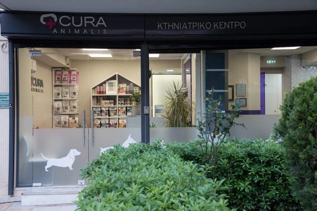 ΣΩΤΗΡΙΟΣ ΜΠΑΓΙΑΣ - CURA ANIMALIS - Εικόνα 4