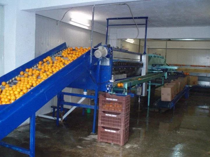 ΠΟΘΟΣ Β ΚΑΙ ΣΙΑ ΟΕ - ORANGEFRESH-ΕΜΠΟΡΙΟ ΕΣΠΕΡΙΔΟΕΙΔΩΝ ΚΑΙ ΑΥΤΟΜΑΤΩΝ ΕΠΑΓΓΕΛΜΑΤΙΚΩΝ ΑΠΟΧΥΜΩΤΩΝ - Εικόνα 5