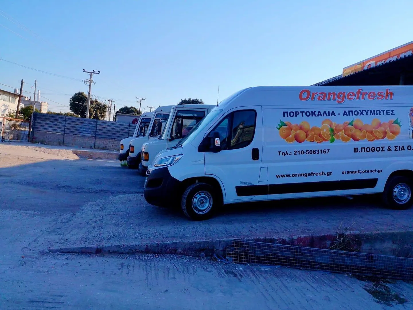 ΠΟΘΟΣ Β ΚΑΙ ΣΙΑ ΟΕ - ORANGEFRESH-ΕΜΠΟΡΙΟ ΕΣΠΕΡΙΔΟΕΙΔΩΝ ΚΑΙ ΑΥΤΟΜΑΤΩΝ ΕΠΑΓΓΕΛΜΑΤΙΚΩΝ ΑΠΟΧΥΜΩΤΩΝ - Εικόνα 4