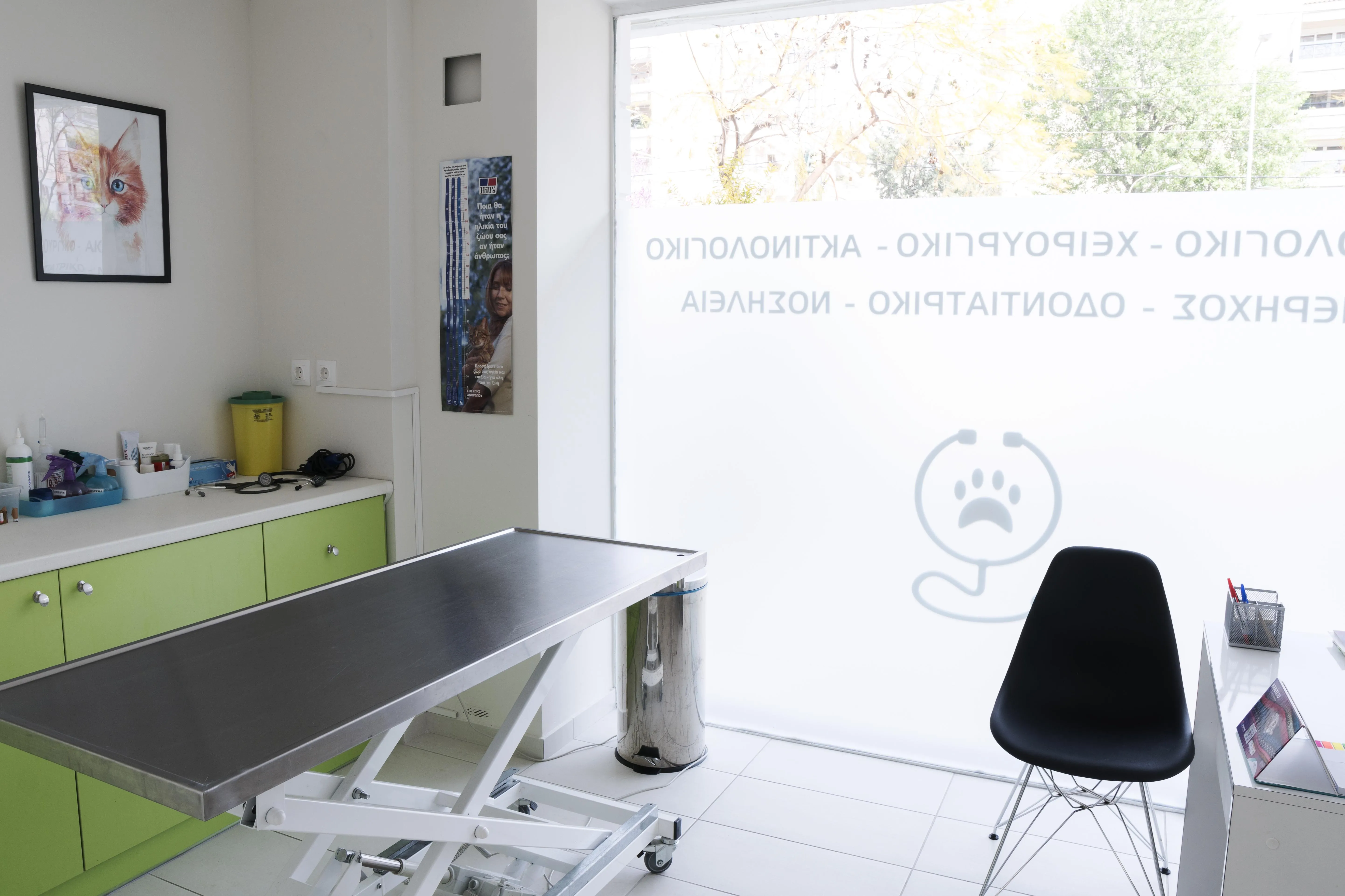 ΣΥΛΒΙΑ ΔΗΜΗΤΡΑΚΟΠΟΥΛΟΥ - ΚΤΗΝΙΑΤΡΙΚΟ ΚΕΝΤΡΟ ΝΕΑΣ ΣΜΥΡΝΗΣ - Εικόνα 3
