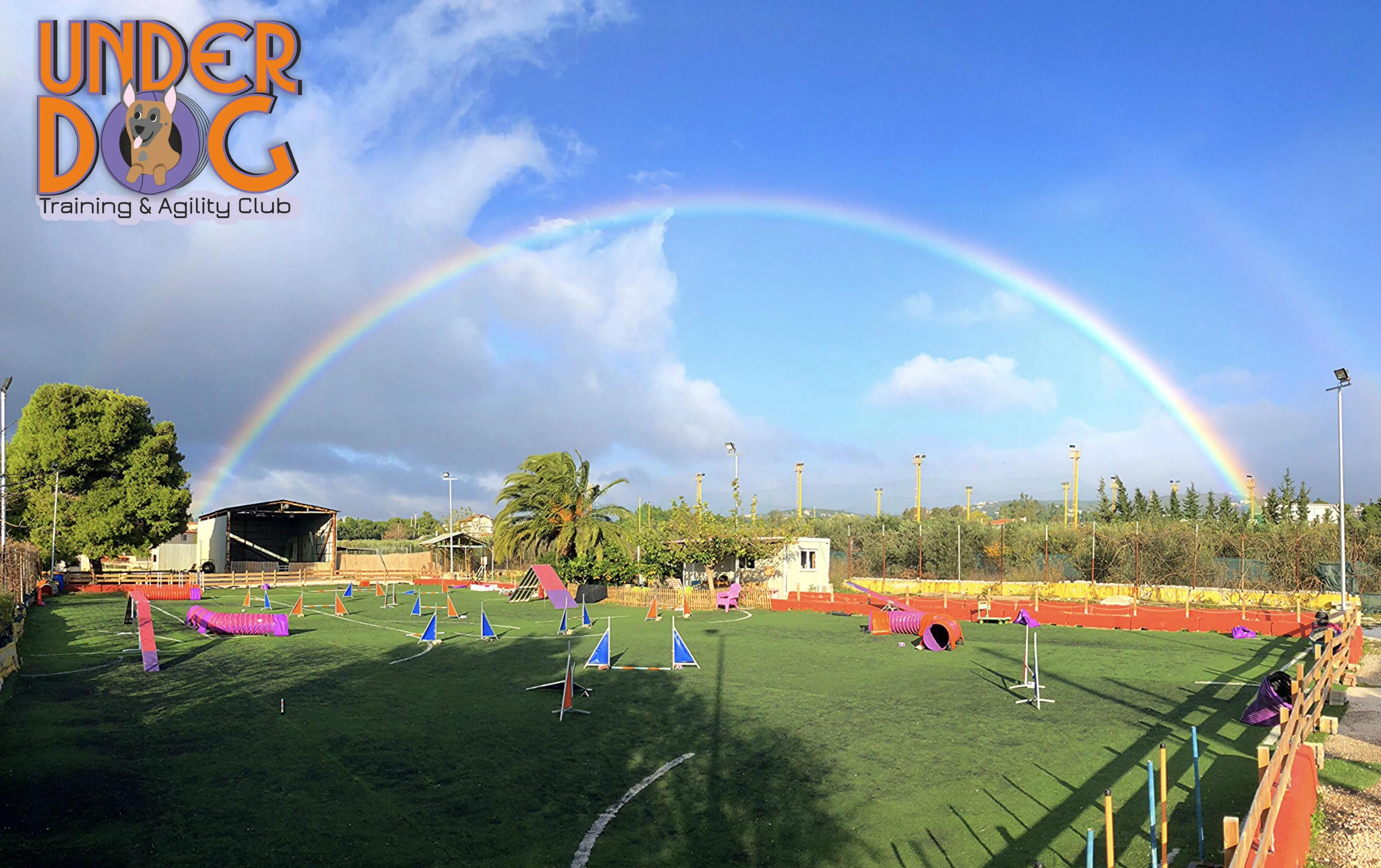 UNDERDOG TRAINING CLUB - Εικόνα 3
