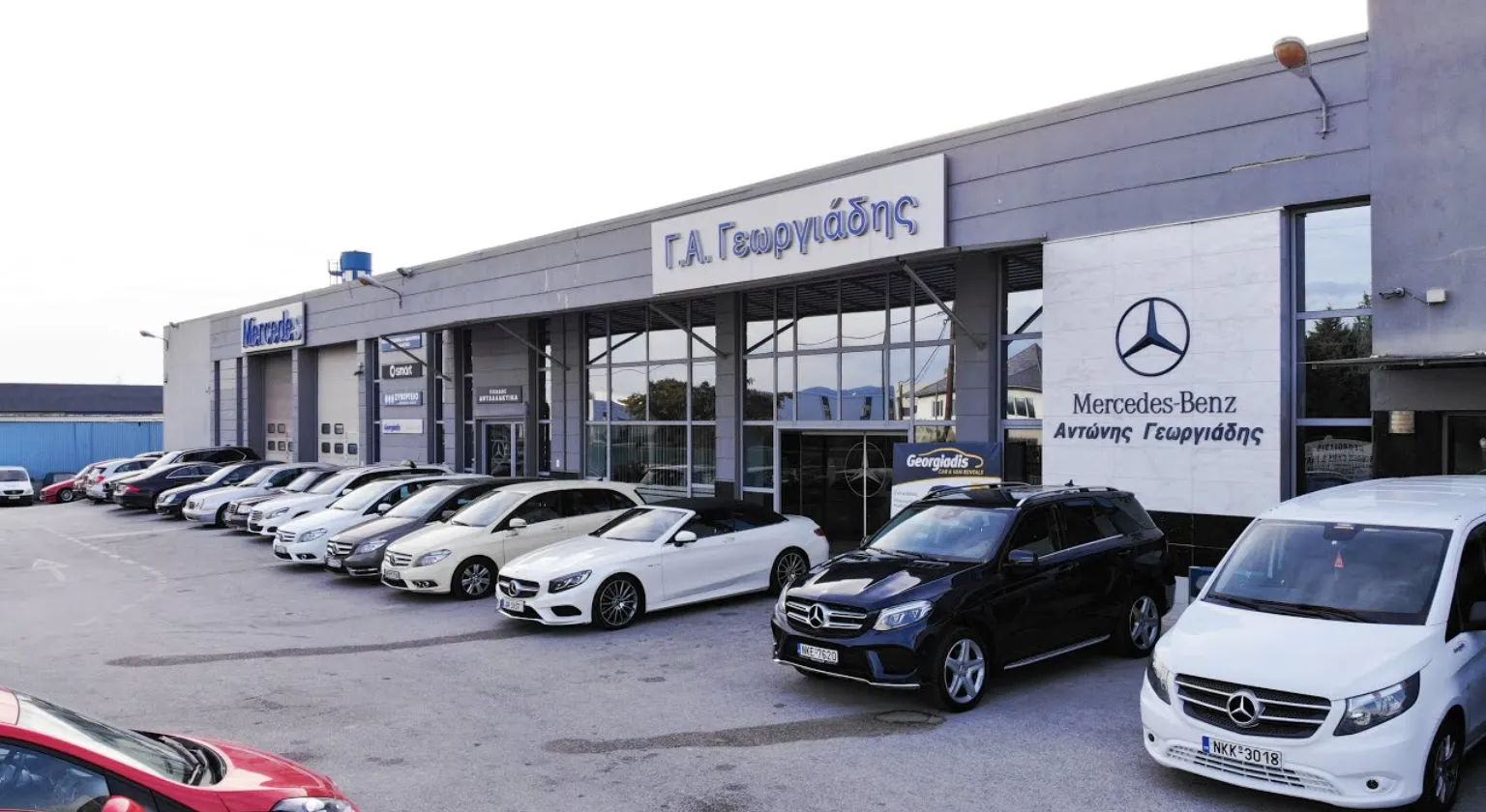 ΓΕΩΡΓΙΟΣ Α. ΓΕΩΡΓΙΑΔΗΣ - MERCEDES ΓΕΩΡΓΙΑΔΗΣ - Εικόνα 1