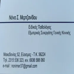 `ΝΟΝΑ ΜΕΡΤΖΑΝΙΔΟΥ - Logo`