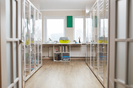 Επαγγελματικός χώρος εξέτασης και περίθαλψης ζώων.