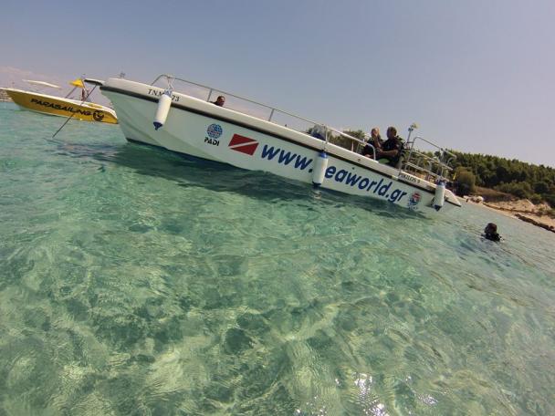ΚΩΝΣΤΑΝΤΙΝΟΣ ΜΑΥΡΟΧΩΡΙΔΗΣ - SEAWORLD - Εικόνα 2