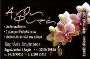 ΔΗΜΗΤΡΙΟΣ ΧΑΜΗΛΟΣ - Logo