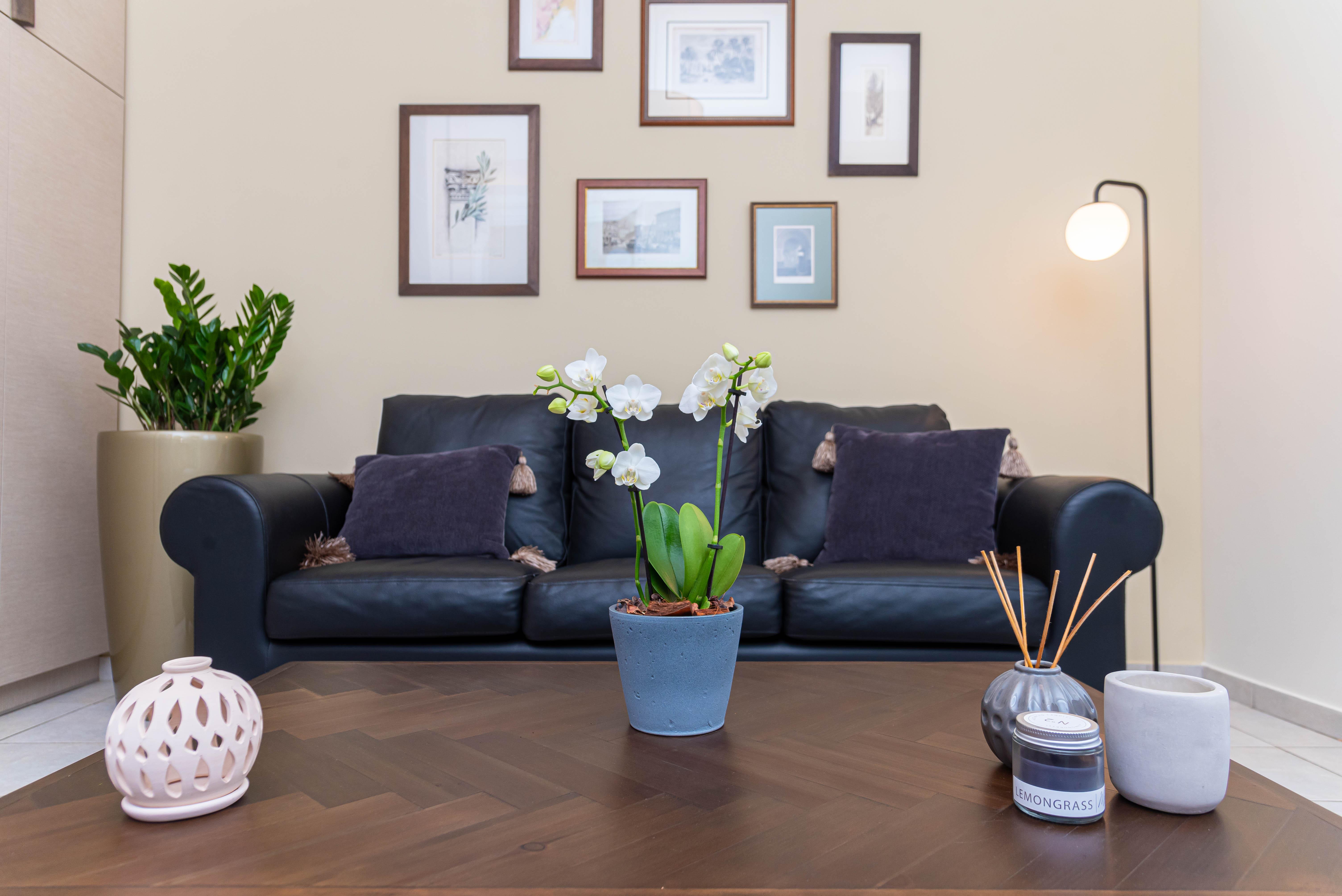 D & E DENTAL EXCELLENCE-ΔΗΜΗΤΡΑ ΤΟΤΟΥ, DDS - D & E DENTAL EXCELLENCE - Εικόνα 1