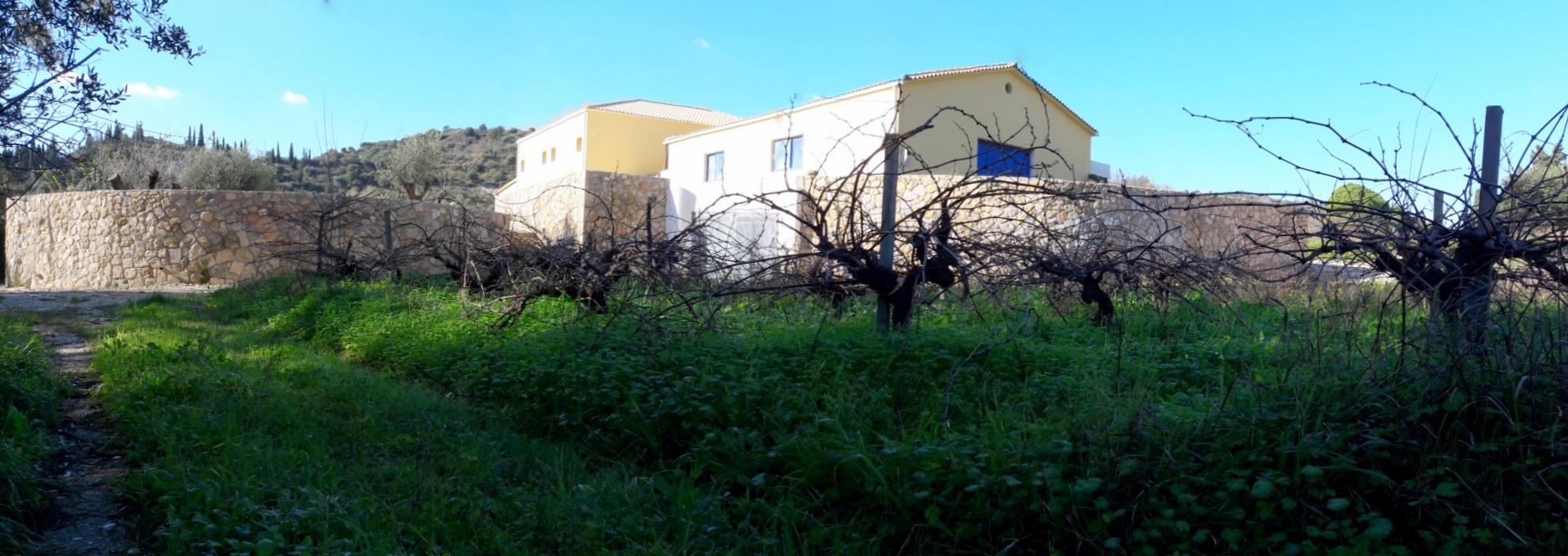 SKLAVOS WINES - Εικόνα 1