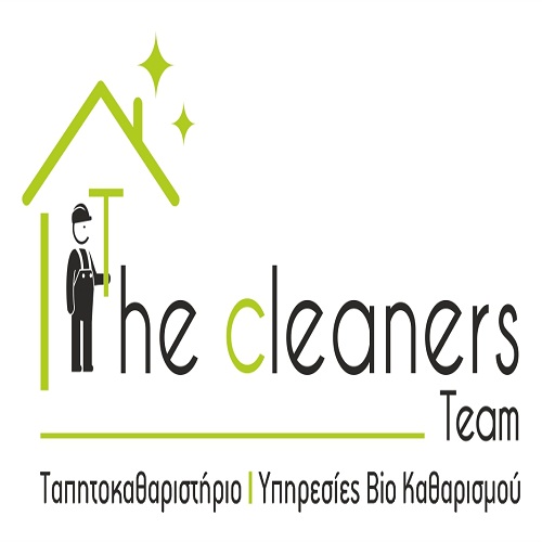 ΔΗΜΗΤΡΙΟΣ ΜΑΡΟΥΛΗΣ - THE CLEANERS TEAM - ΥΠΗΡΕΣΙΕΣ ΚΑΘΑΡΙΣΜΟΥ - Logo