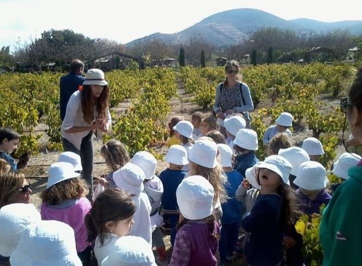 ΠΑΙΔΙΚΟΣ ΣΤΑΘΜΟΣ ΝΗΠΙΑΓΩΓΕΙΟ - ΑΝΕΜΟΜΥΛΟΣ - Εικόνα 3