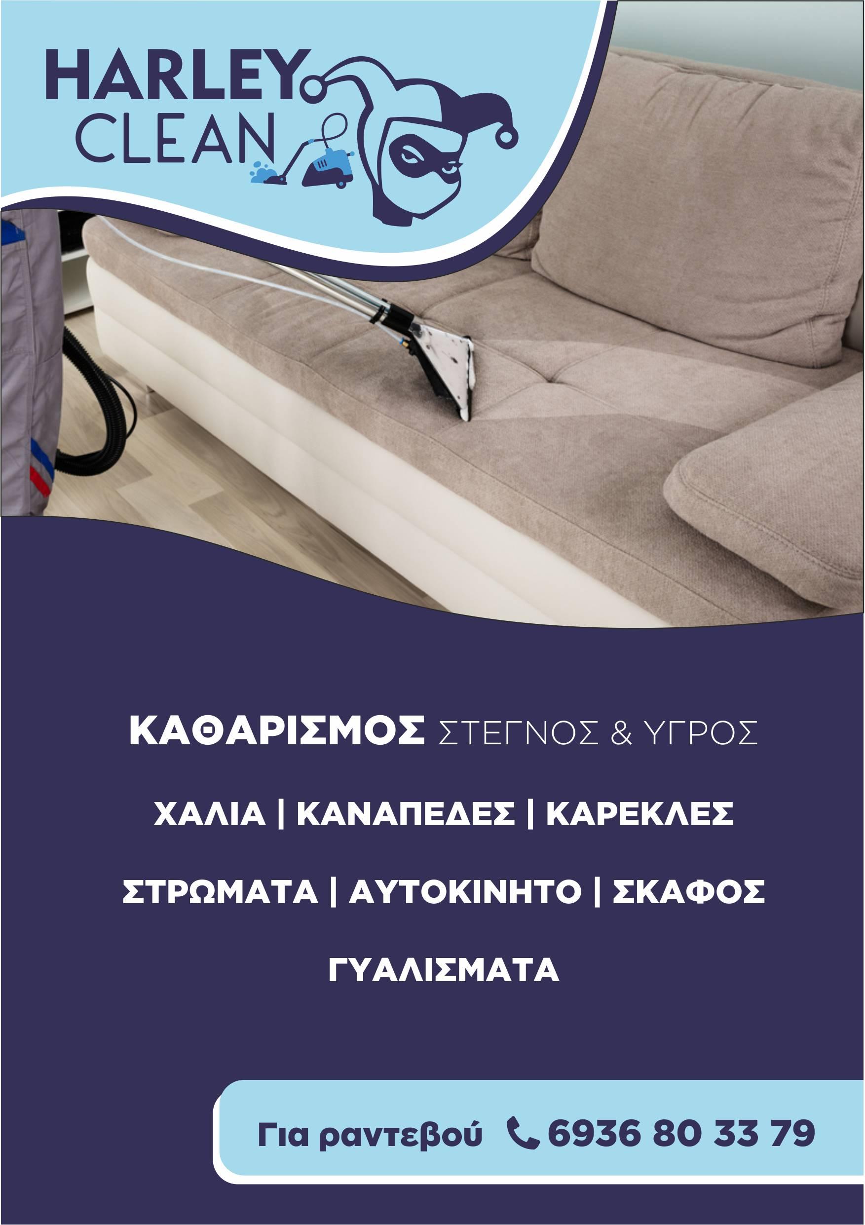 HARLEY CLEAN - Εικόνα 11
