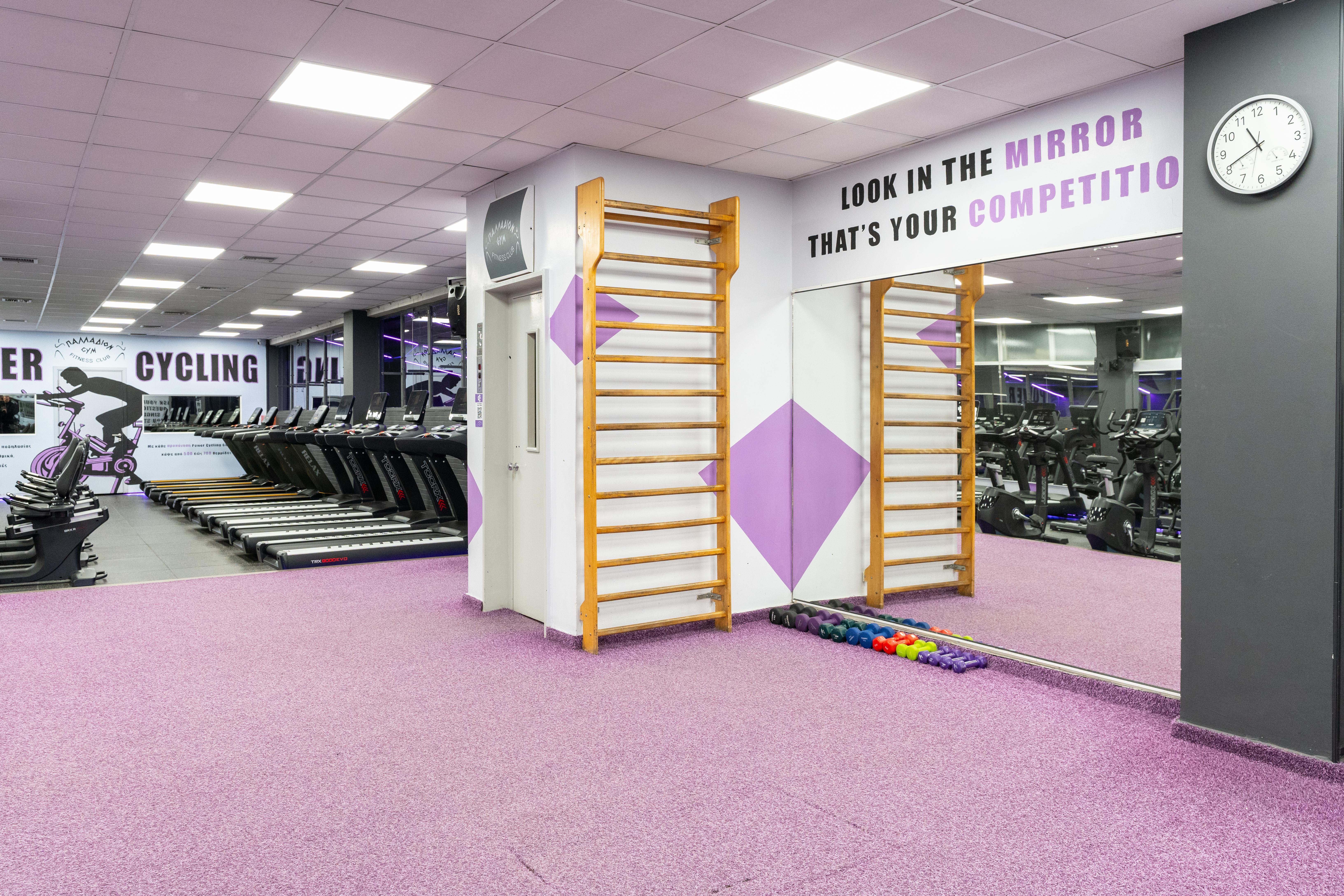 ΠΑΛΛΑΔΙΟΝ GYM - ΠΑΛΛΑΔΙΟΝ GYM - Εικόνα 23