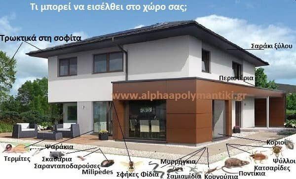 ALPHA ΑΠΟΛΥΜΑΝΤΙΚΗ - ΛΑΜΠΡΟΣ ΓΚΙΟΚΑΣ - Εικόνα 1